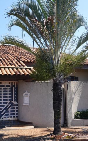 Casa à venda com 360m², 3 quartos e 3 vagasFachada com Plaquinha PXZV - 1429