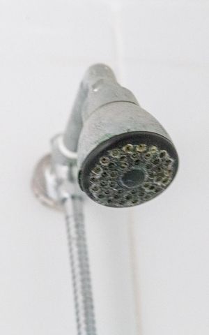 Apartamento para alugar com 56m², 2 quartos e 1 vagaBanheiro do Quarto 2