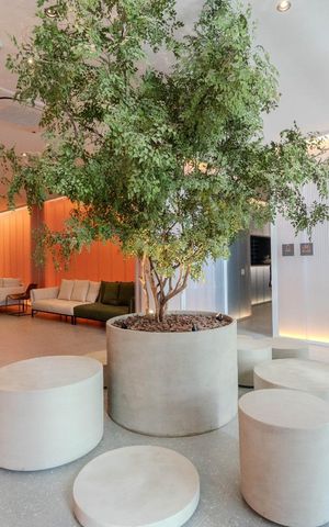 Studio para alugar com 22m², 1 quarto e sem vagaHall Entrada