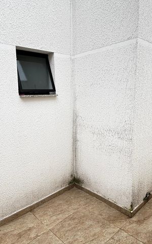 Casa para alugar com 124m², 3 quartos e 2 vagasQuintal