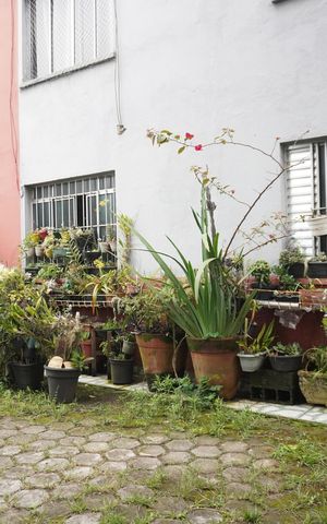 Apartamento à venda com 50m², 2 quartos e 1 vagaÁrea comum