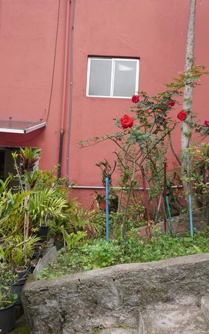 Apartamento à venda com 50m², 2 quartos e 1 vagaÁrea comum