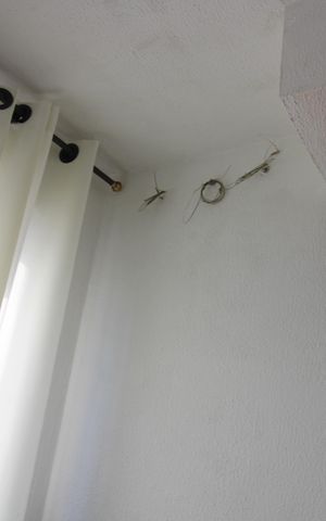 Apartamento à venda com 48m², 2 quartos e 1 vagaÁrea de Serviço