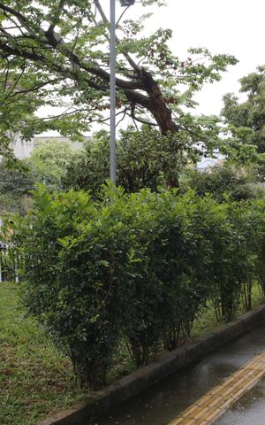 Apartamento à venda com 49m², 2 quartos e 1 vaga Apartamento à venda com 49m², 2 quartos e 1 vagaÁrea comum