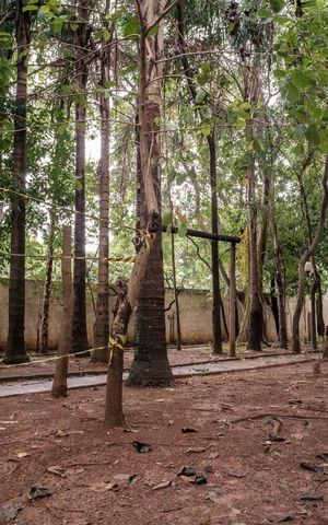 Apartamento à venda com 47m², 2 quartos e 1 vaga Apartamento à venda com 47m², 2 quartos e 1 vagaÁrea comum