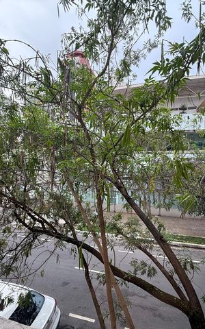 Apartamento à venda com 40m², 2 quartos e sem vaga Apartamento à venda com 40m², 2 quartos e sem vagaVista Quarto
