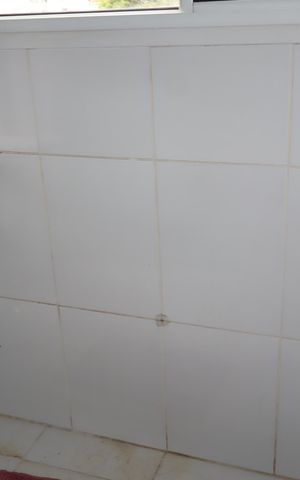Apartamento para alugar com 55m², 2 quartos e 1 vagaÁrea de Serviço