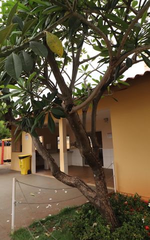 Apartamento para alugar com 50m², 2 quartos e 1 vagaÁrea comum