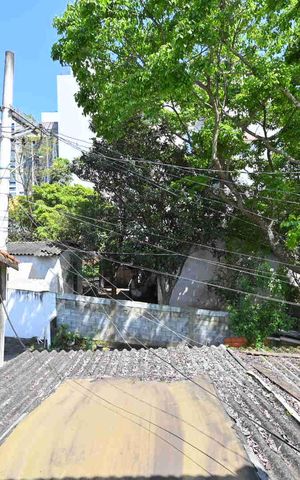 Casa de condomínio à venda com 90m², 2 quartos e 1 vagaVista do Quarto 1