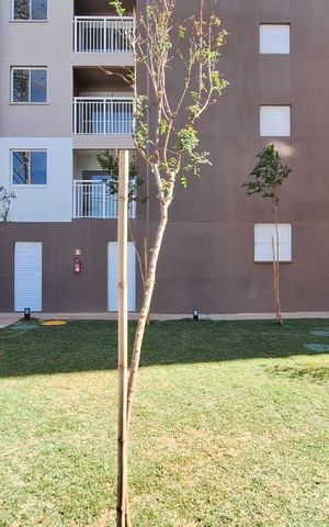 Apartamento para alugar com 33m², 2 quartos e sem vagaÁrea comum