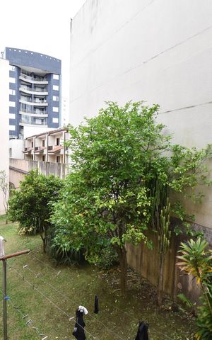 Apartamento para alugar com 55m², 3 quartos e 1 vagaVista do Quarto 2