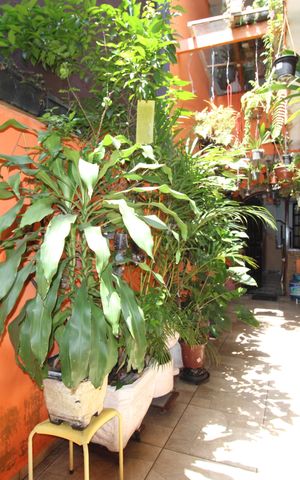 Casa à venda com 273m², 3 quartos e 2 vagasCorredor