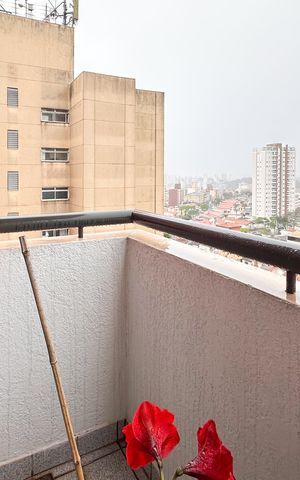 Apartamento à venda com 85m², 3 quartos e 2 vagas Apartamento à venda com 85m², 3 quartos e 2 vagasSacada