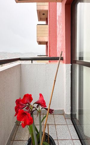 Apartamento à venda com 85m², 3 quartos e 2 vagas Apartamento à venda com 85m², 3 quartos e 2 vagasSacada