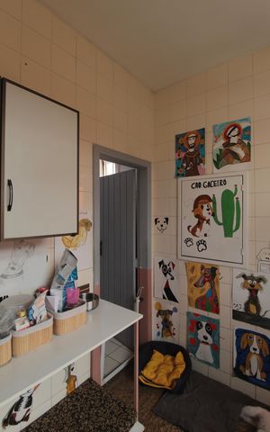Apartamento à venda com 807m², 5 quartos e 4 vagasÁrea de Serviço
