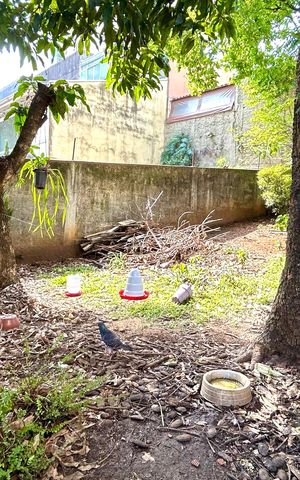Casa à venda com 236m², 2 quartos e 2 vagasQuintal