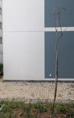Apartamento para alugar com 40m², 2 quartos e sem vaga Apartamento para alugar com 40m², 2 quartos e sem vagaVista Quarto 2