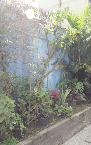 Apartamento à venda com 50m², 2 quartos e 1 vagaÁrea comum - Jardim