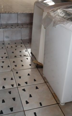 Casa à venda com 155m², 3 quartos e 2 vagasÁrea de Serviço