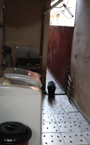 Casa à venda com 155m², 3 quartos e 2 vagasÁrea de Serviço