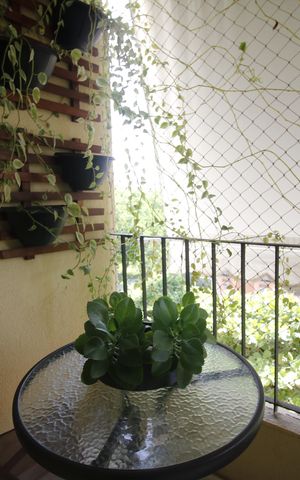 Apartamento à venda com 62m², 2 quartos e 1 vagaVaranda