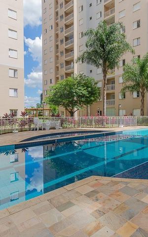 Apartamento para alugar com 52m², 2 quartos e 1 vaga Apartamento para alugar com 52m², 2 quartos e 1 vagaÁrea comum - Piscina