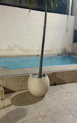Apartamento para alugar com 350m², 5 quartos e 3 vagas Apartamento para alugar com 350m², 5 quartos e 3 vagasÁrea externa