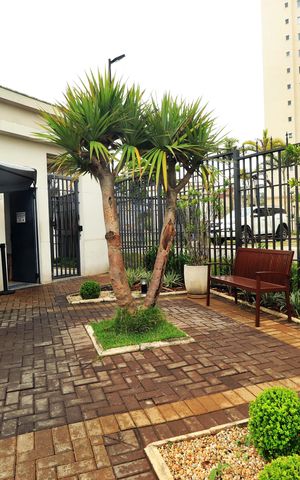 Apartamento à venda com 42m², 2 quartos e 1 vagaÁrea comum