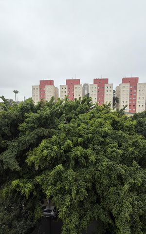 Apartamento para alugar com 66m², 2 quartos e 1 vaga Apartamento para alugar com 66m², 2 quartos e 1 vagaQuarto 2 Vista