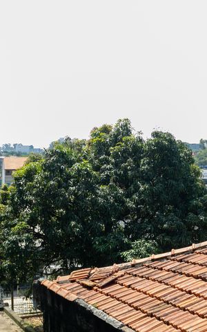 Apartamento para alugar com 39m², 2 quartos e sem vaga Apartamento para alugar com 39m², 2 quartos e sem vagaVista do Quarto 2