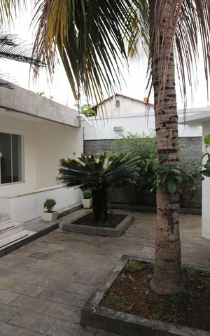 Casa para alugar com 420m², 4 quartos e 7 vagasQuintal