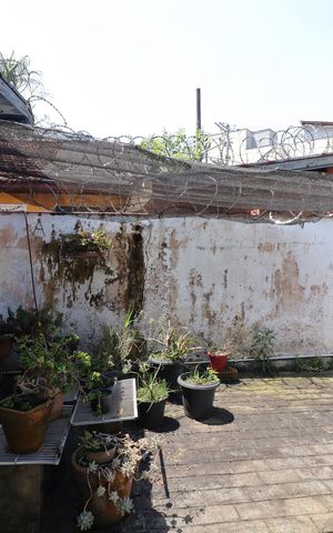 Casa à venda com 569m², 4 quartos e 2 vagasQuintal
