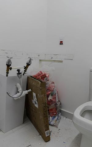 Apartamento para alugar com 66m², 2 quartos e 1 vaga Apartamento para alugar com 66m², 2 quartos e 1 vagaBanheiro Social