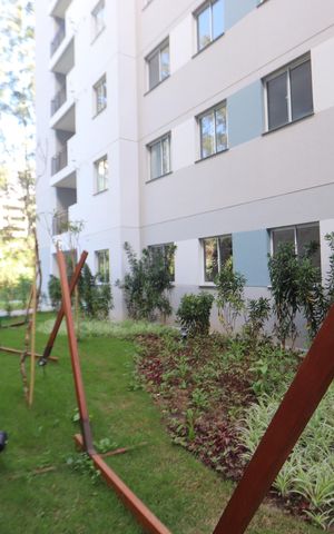 Apartamento para alugar com 35m², 2 quartos e sem vagaÁrea comum - Redário