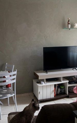 Apartamento à venda com 59m², 3 quartos e 1 vaga Apartamento à venda com 59m², 3 quartos e 1 vagaSala