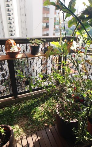 Apartamento à venda com 103m², 3 quartos e 2 vagasSala - Varanda