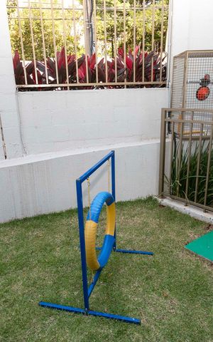 Apartamento para alugar com 50m², 2 quartos e 1 vagaPET PLACE