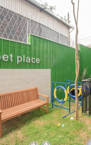 Apartamento para alugar com 38m², 2 quartos e 1 vaga Apartamento para alugar com 38m², 2 quartos e 1 vagaÁrea comum - Pet place