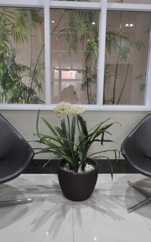 Apartamento à venda com 78m², 2 quartos e 2 vagasHall Social