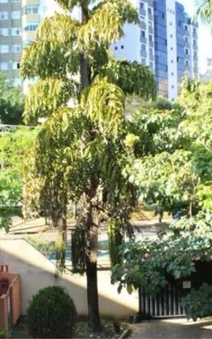 Apartamento à venda com 85m², 3 quartos e 1 vaga Apartamento à venda com 85m², 3 quartos e 1 vagaVista