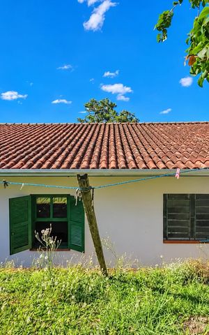Casa para alugar com 78m², 2 quartos e 1 vaga Casa para alugar com 78m², 2 quartos e 1 vagaQuintal