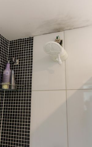 Casa para alugar com 300m², 5 quartos e 2 vagasBanheiro Social 2