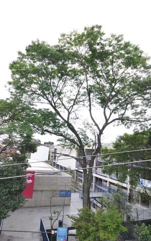 Apartamento para alugar com 43m², 2 quartos e sem vagaVista da Sacada da Sala