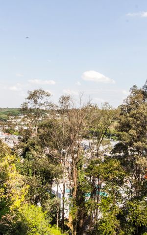 Apartamento para alugar com 56m², 2 quartos e 1 vaga Apartamento para alugar com 56m², 2 quartos e 1 vagaVista da Sacada