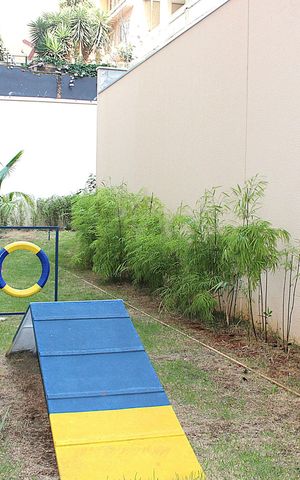 Studio para alugar com 27m², 1 quarto e sem vagaÁrea comum - Espaço PET