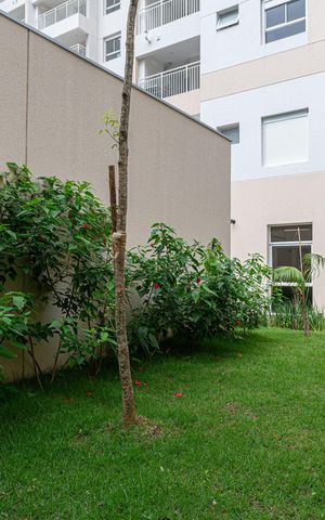 Studio para alugar com 25m², 1 quarto e sem vaga Studio para alugar com 25m², 1 quarto e sem vagaÁrea comum - Espaço PET