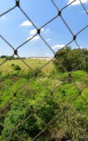 Apartamento para alugar com 50m², 2 quartos e 1 vagaÁrea de Serviço - Vista