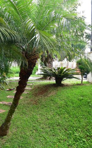Casa de condomínio à venda com 240m², 4 quartos e 2 vagasSala - Vista