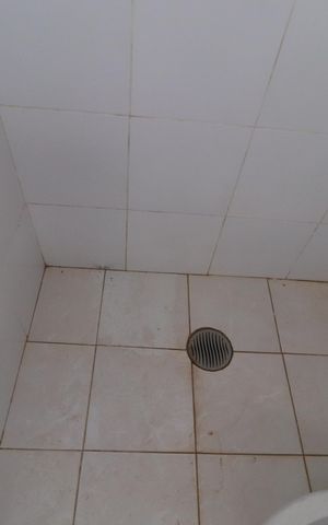 Casa para alugar com 300m², 5 quartos e 5 vagasBanheiro de serviço 
