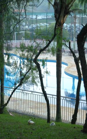 Casa de condomínio à venda com 250m², 3 quartos e 4 vagasÁrea comum - Piscina
